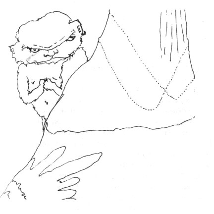 Иллюстрация к книге — Лечебный факультет, или Спасти лягушку [_17.jpg]