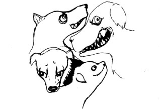 Иллюстрация к книге — Лечебный факультет, или Спасти лягушку [_18.jpg]