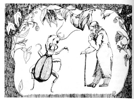 Иллюстрация к книге — Лечебный факультет, или Спасти лягушку [_25.jpg]