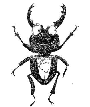 Иллюстрация к книге — Лечебный факультет, или Спасти лягушку [_7.jpg]