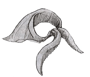 Иллюстрация к книге — Когда отдыхают ангелы [i_051.jpg]