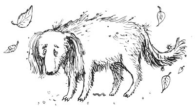 Иллюстрация к книге — Мохнатый ребенок [i_004.jpg]