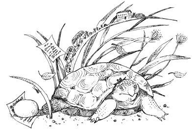 Иллюстрация к книге — Мохнатый ребенок [i_013.jpg]