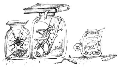 Иллюстрация к книге — Мохнатый ребенок [i_017.jpg]