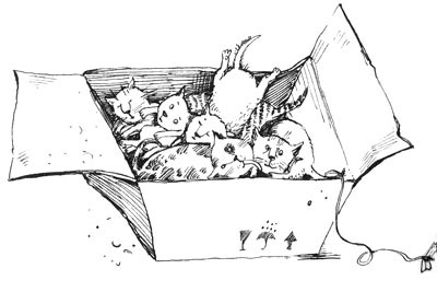 Иллюстрация к книге — Мохнатый ребенок [i_023.jpg]