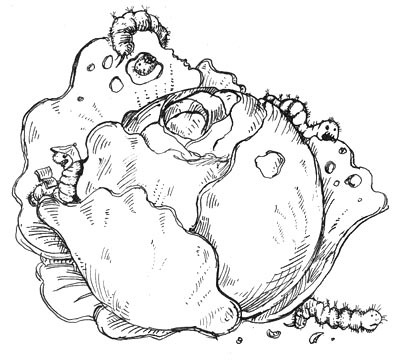 Иллюстрация к книге — Мохнатый ребенок [i_027.jpg]