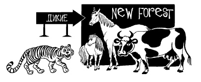 Иллюстрация к книге — Английская свадьба [i_004.jpg]