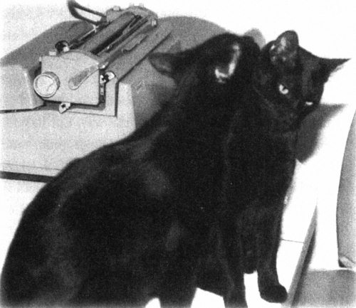 Иллюстрация к книге — Девять жизней Дьюи. Наследники кота из библиотеки, который потряс весь мир [i_007.jpg]