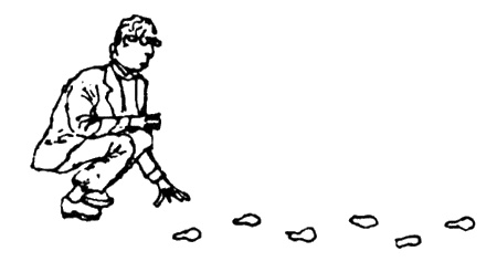 Иллюстрация к книге — Собиратель автографов [i_011.jpg]