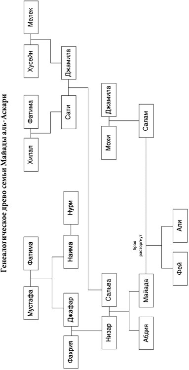 Иллюстрация к книге — Майада. Дочь Ирака [i_001.jpg]