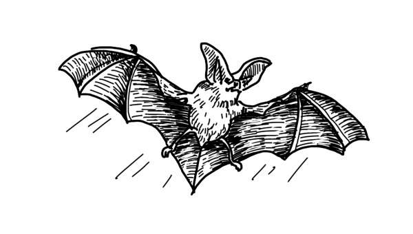 Иллюстрация к книге — Служба Контроля [i_001.jpg]