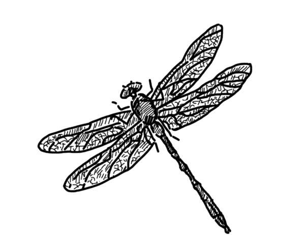 Иллюстрация к книге — Служба Контроля [i_006.jpg]