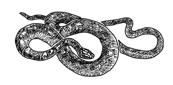 Иллюстрация к книге — Служба Контроля [i_009.jpg]