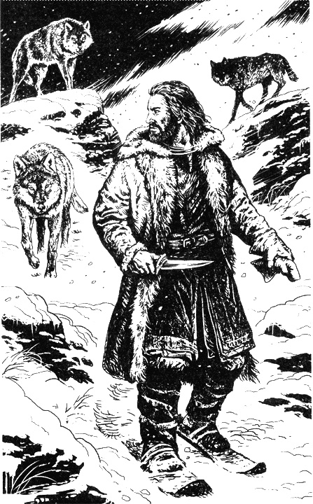 Иллюстрация к книге — Хроники Мидгарда. Нуб детектед [i_002.jpg]