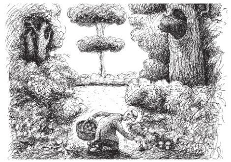 Иллюстрация к книге — Алло, Люся, это я! [i_010.jpg]