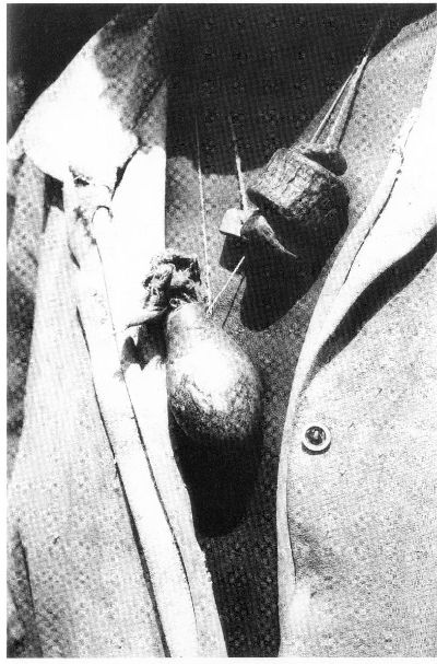 Иллюстрация к книге — В поисках копей царя Соломона [i_007.jpg]