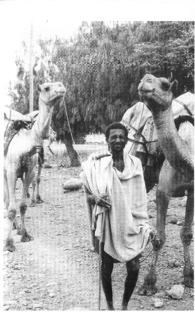 Иллюстрация к книге — В поисках копей царя Соломона [i_013.jpg]