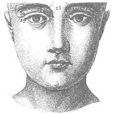 Иллюстрация к книге — Венеция - это рыба [i_023.jpg]