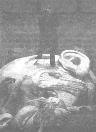 Иллюстрация к книге — Венеция - это рыба [i_027.jpg]