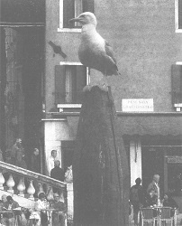 Иллюстрация к книге — Венеция - это рыба [i_028.jpg]