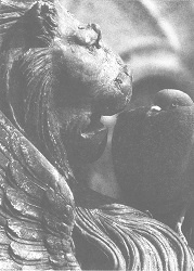 Иллюстрация к книге — Венеция - это рыба [i_030.jpg]