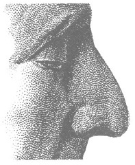 Иллюстрация к книге — Венеция - это рыба [i_033.jpg]