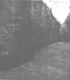 Иллюстрация к книге — Венеция - это рыба [i_038.jpg]