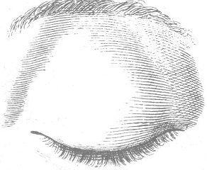 Иллюстрация к книге — Венеция - это рыба [i_040.jpg]