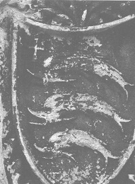 Иллюстрация к книге — Венеция - это рыба [i_047.jpg]