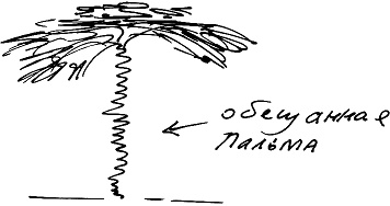 Иллюстрация к книге — Тропик лейтенанта. Пиратское рондо [i_023.jpg]