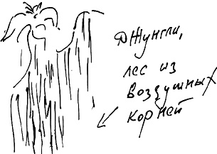 Иллюстрация к книге — Тропик лейтенанта. Пиратское рондо [i_081.jpg]