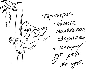 Иллюстрация к книге — Тропик лейтенанта. Пиратское рондо [i_082.jpg]