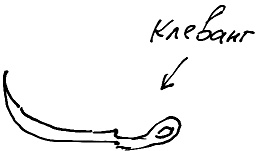 Иллюстрация к книге — Тропик лейтенанта. Пиратское рондо [i_087.jpg]