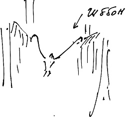 Иллюстрация к книге — Тропик лейтенанта. Пиратское рондо [i_088.jpg]