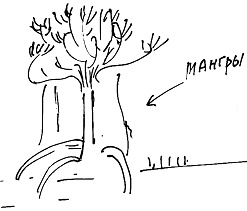Иллюстрация к книге — Тропик лейтенанта. Пиратское рондо [i_096.jpg]