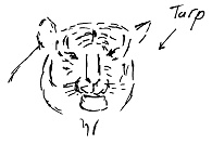 Иллюстрация к книге — Тропик лейтенанта. Пиратское рондо [i_097.jpg]