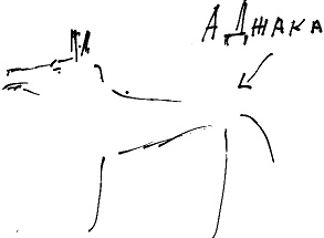 Иллюстрация к книге — Тропик лейтенанта. Пиратское рондо [i_103.jpg]