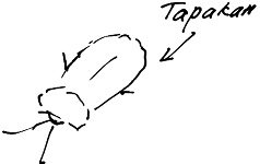 Иллюстрация к книге — Тропик лейтенанта. Пиратское рондо [i_109.jpg]