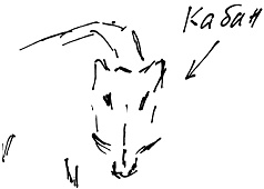 Иллюстрация к книге — Тропик лейтенанта. Пиратское рондо [i_115.jpg]