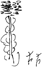 Иллюстрация к книге — Тропик лейтенанта. Пиратское рондо [i_144.jpg]