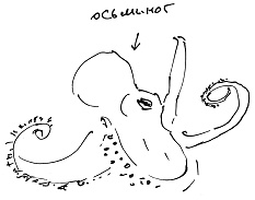 Иллюстрация к книге — Тропик лейтенанта. Пиратское рондо [i_147.jpg]