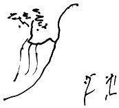 Иллюстрация к книге — Тропик лейтенанта. Пиратское рондо [i_159.jpg]