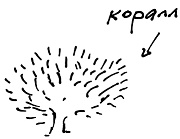 Иллюстрация к книге — Тропик лейтенанта. Пиратское рондо [i_166.jpg]