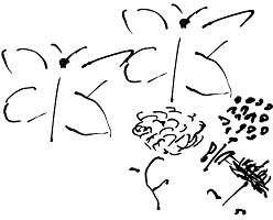 Иллюстрация к книге — Тропик лейтенанта. Пиратское рондо [i_183.jpg]