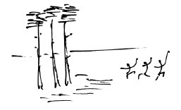 Иллюстрация к книге — Мангушев и молния [i_007.jpg]