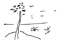 Иллюстрация к книге — Мангушев и молния [i_022.jpg]