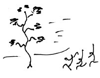 Иллюстрация к книге — Мангушев и молния [i_051.jpg]