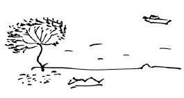 Иллюстрация к книге — Мангушев и молния [i_060.jpg]