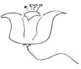 Иллюстрация к книге — Мангушев и молния [i_070.jpg]