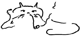 Иллюстрация к книге — Кот [i_010.jpg]